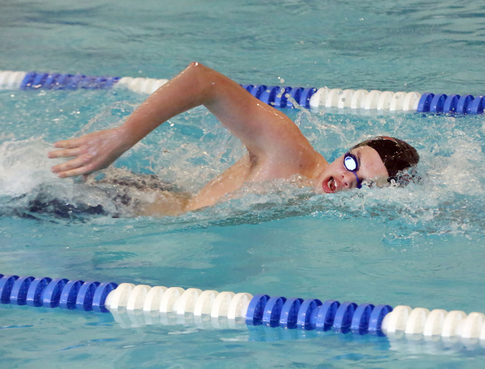 Ocean City Ridley Swimming